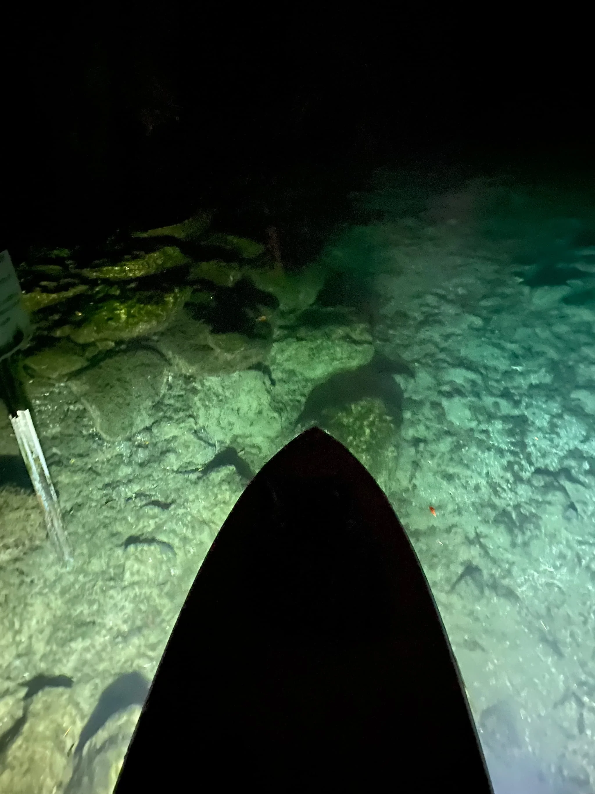 E-Sea Light- Suction Mounted Waterproof Floodlight - Image 3